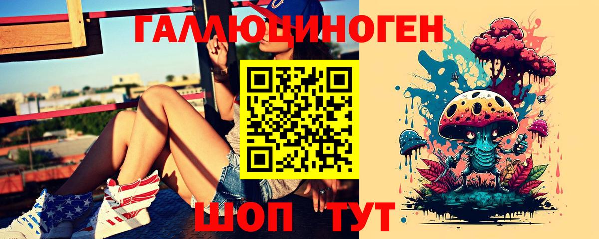 как найти наркотики  Вход с VPN  Псилоцибиновые грибы GOLDEN TEACHER  Новокузнецк  Галлюциногенные грибы мицелий 