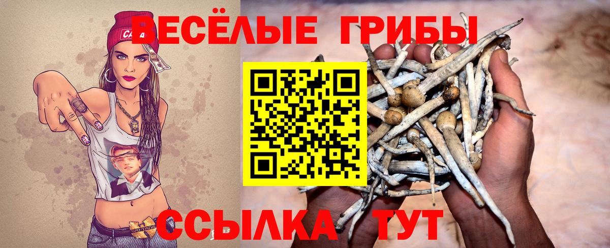 Псилоцибиновые грибы прущие грибы Новокузнецк